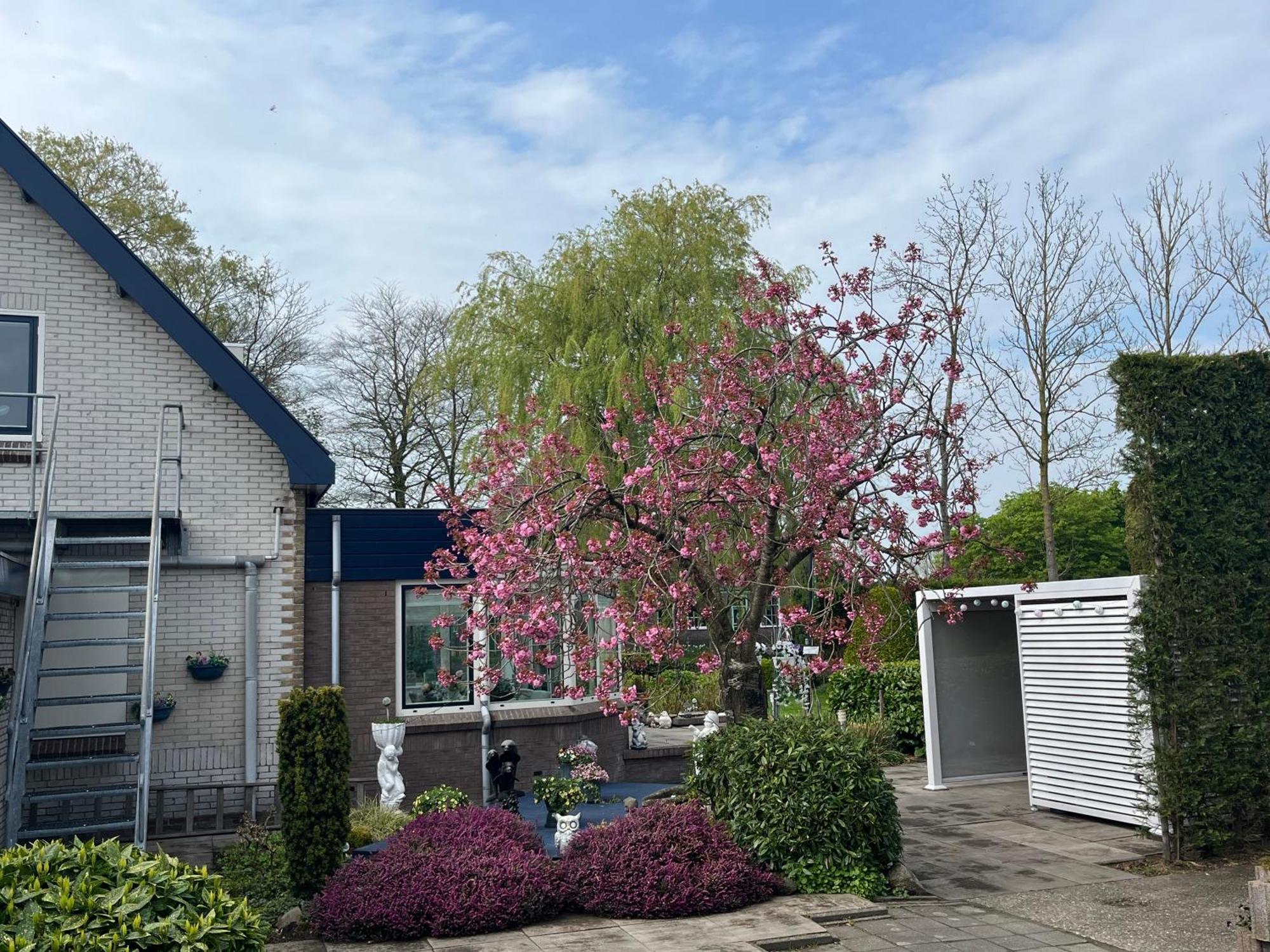 B&B Dol - Fijn Benningbroek Exterior photo